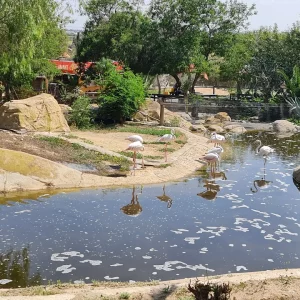 Friguia Park