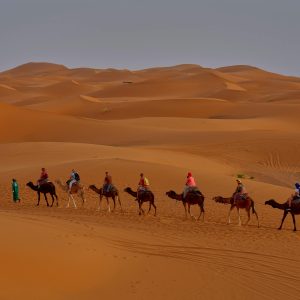 Sahara